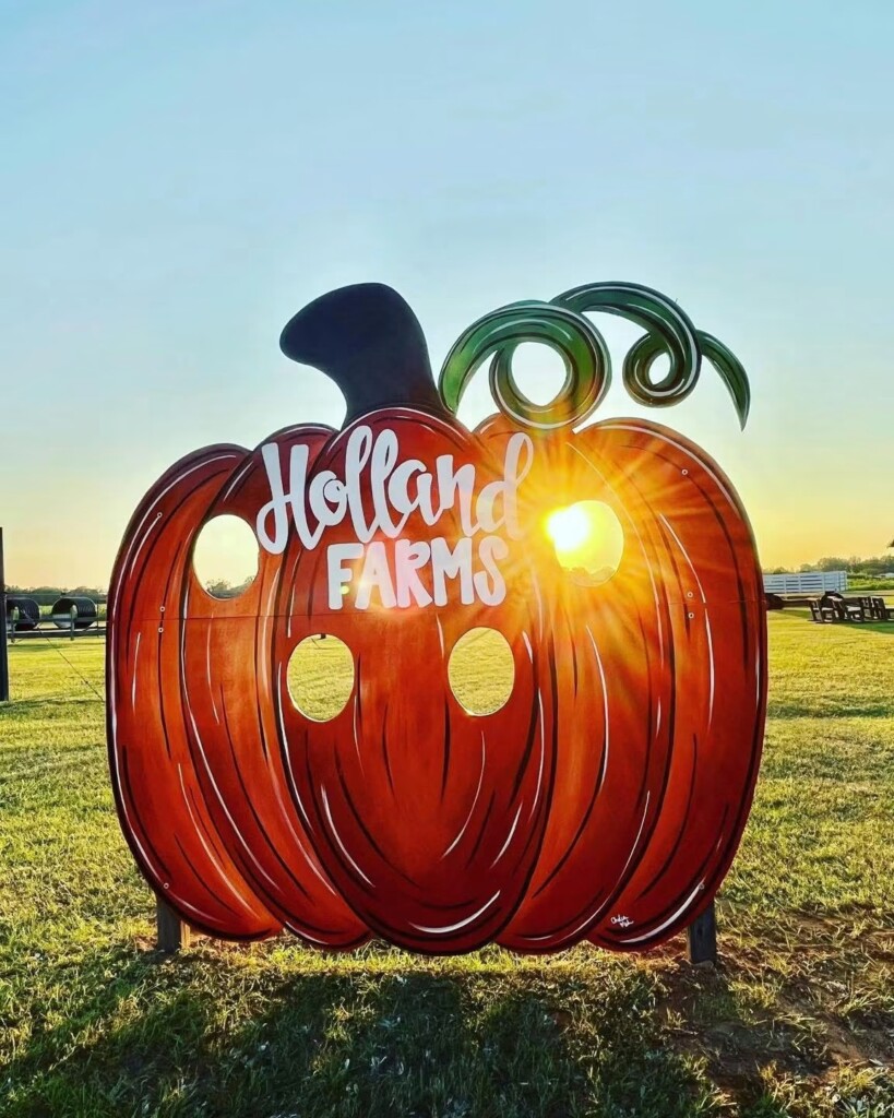 Photos Courtesy Of Holland Farms Pumpkin Patch And Sunflower Fields Img 0088
